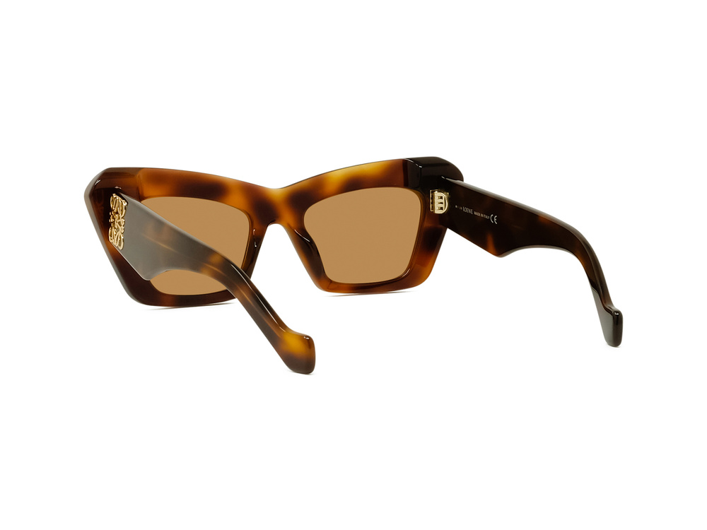 Loewe Sunglasses LW40036I-5153E