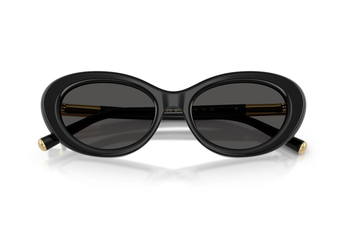 Dolce & Gabbana Sunglasses DG4519-501/87