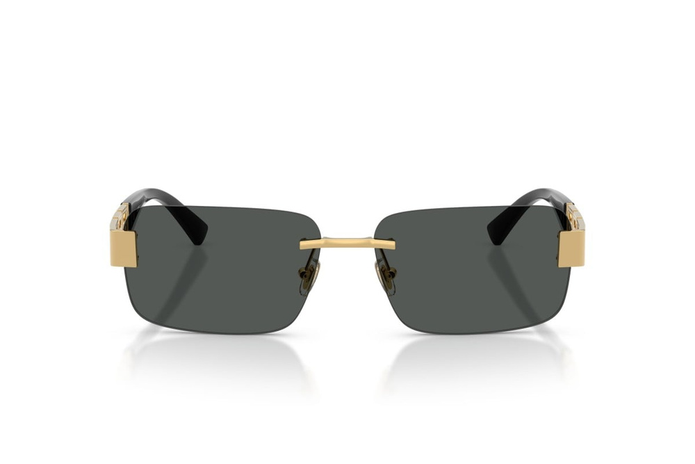 Versace Sunglasses VE2298-100287