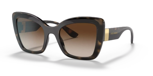 Dolce & Gabbana Sunglasses DG6170-330613