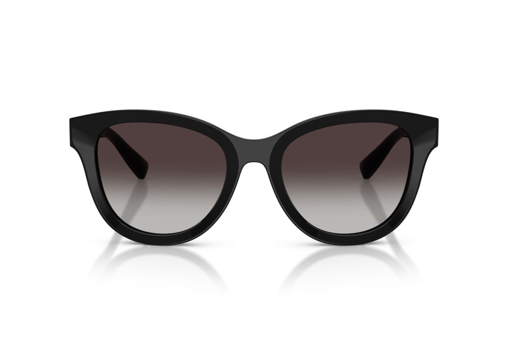 Dolce & Gabbana Sunglasses DG4533-501/8G