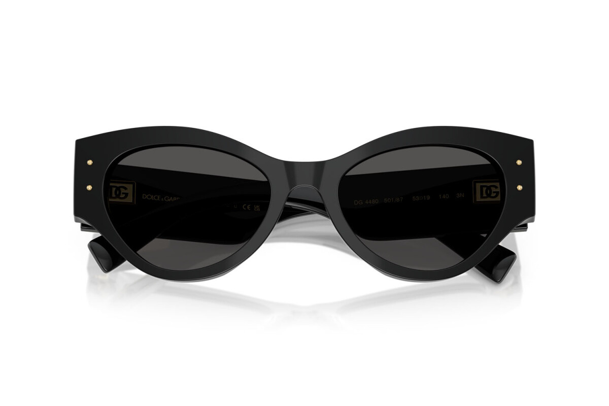 Dolce & Gabbana Okulary przeciwsłoneczne DG4480-501/87