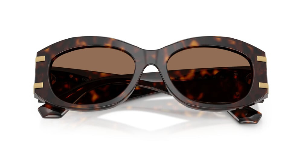 Dolce & Gabbana Sunglasses DG4502-502/73