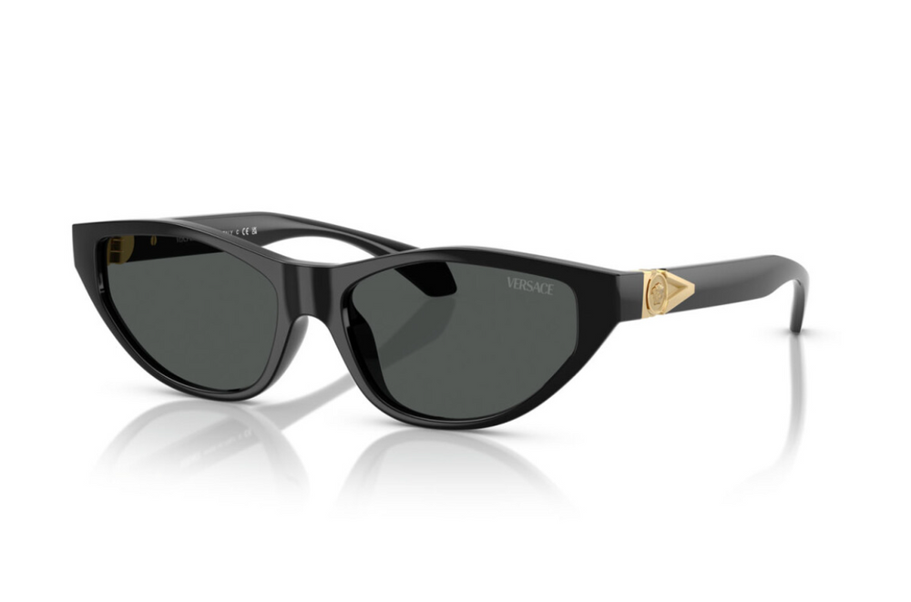 Versace Sunglasses VE4491U-GB1/87