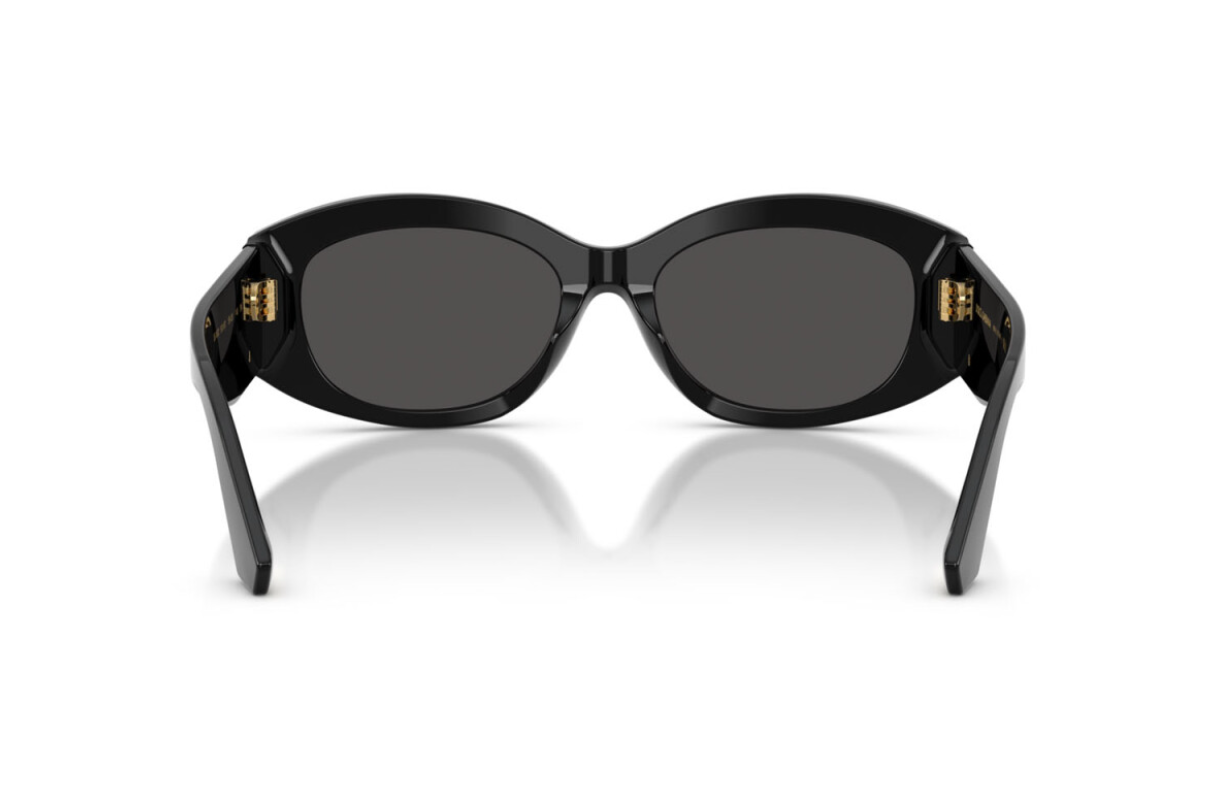 Dolce & Gabbana Sunglasses DG4502-501/87
