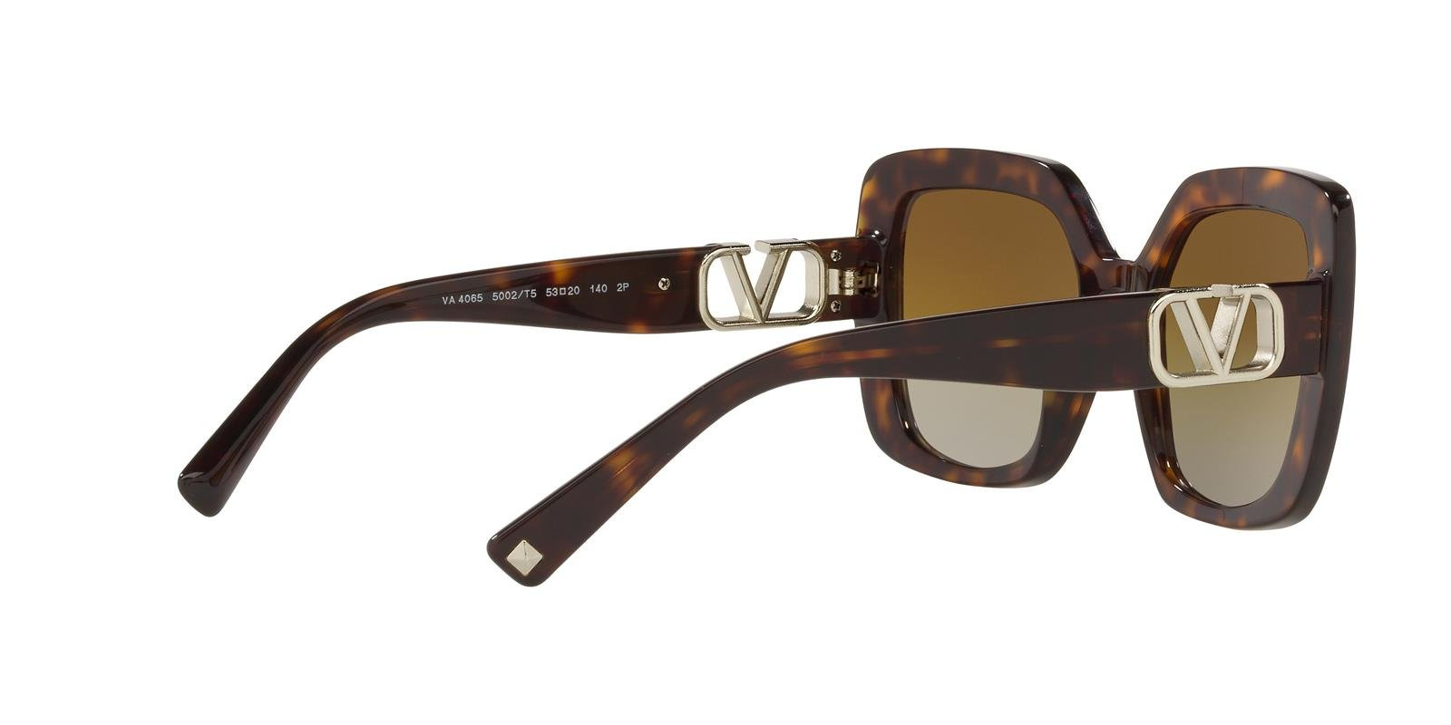Valentino Sunglasses VA4065-5002T5