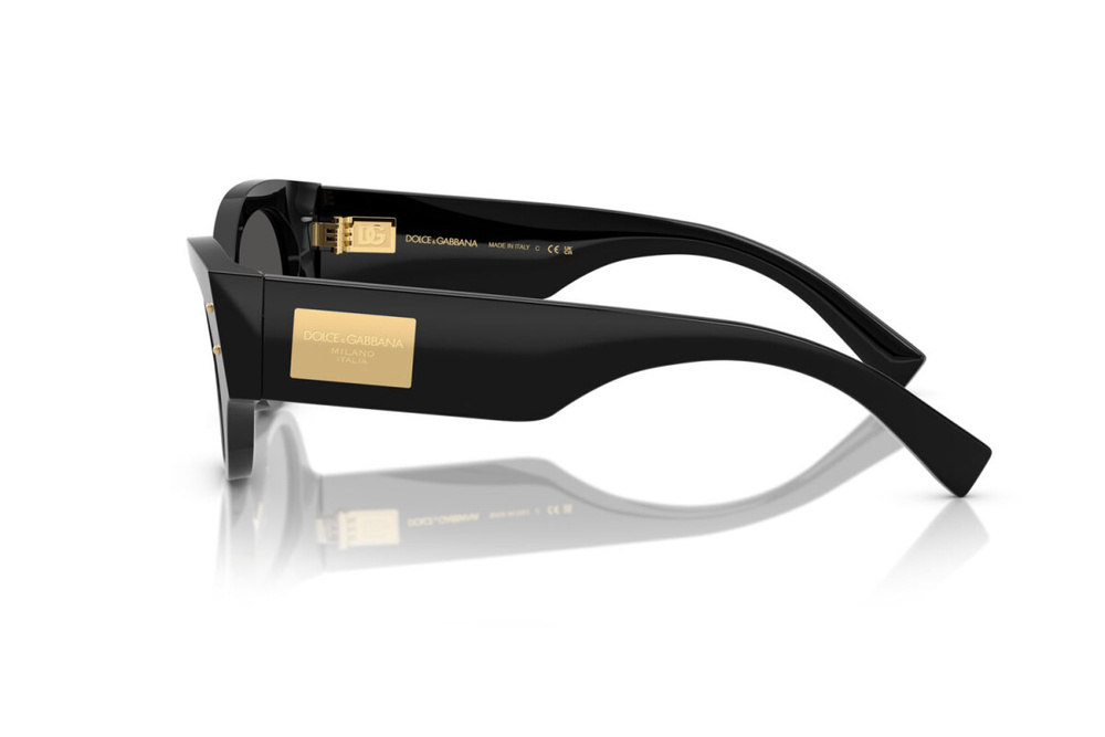 Dolce & Gabbana Sunglasses DG4480-501/87