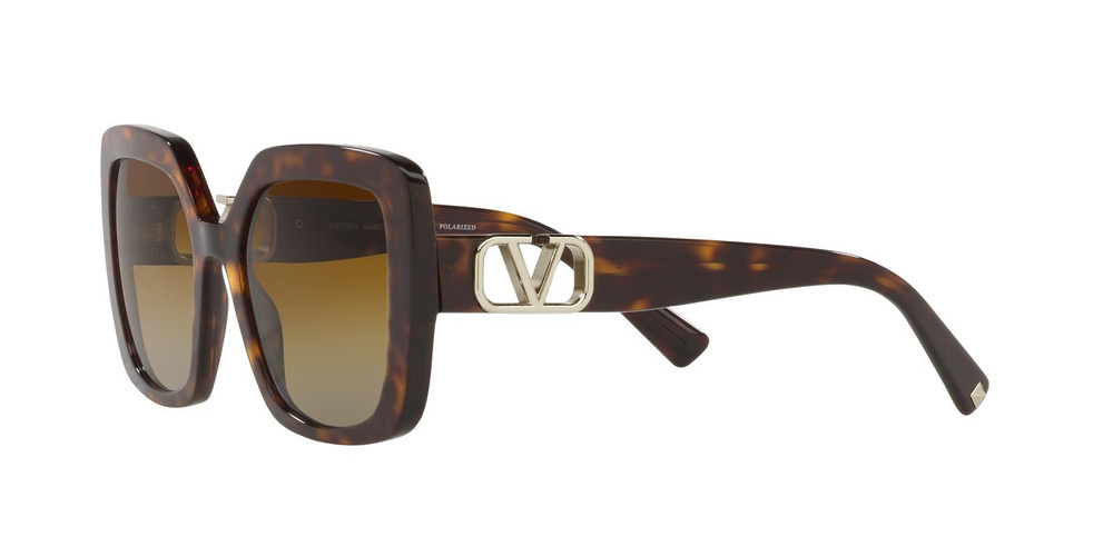 Valentino Sunglasses VA4065-5002T5