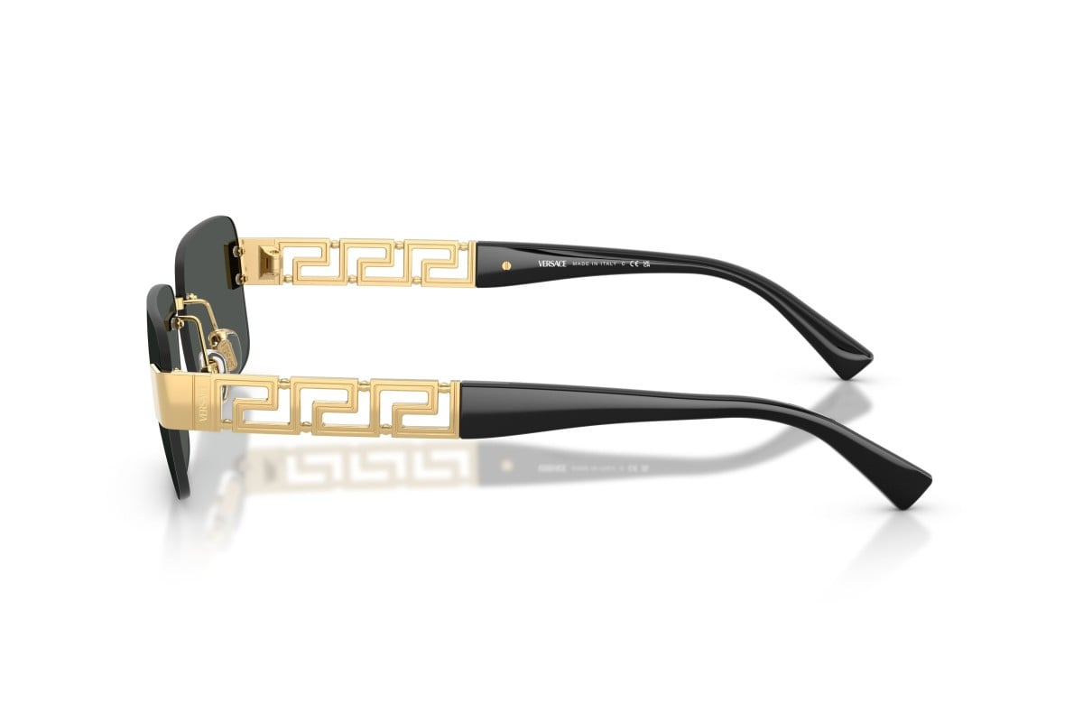 Versace Sunglasses VE2298-100287