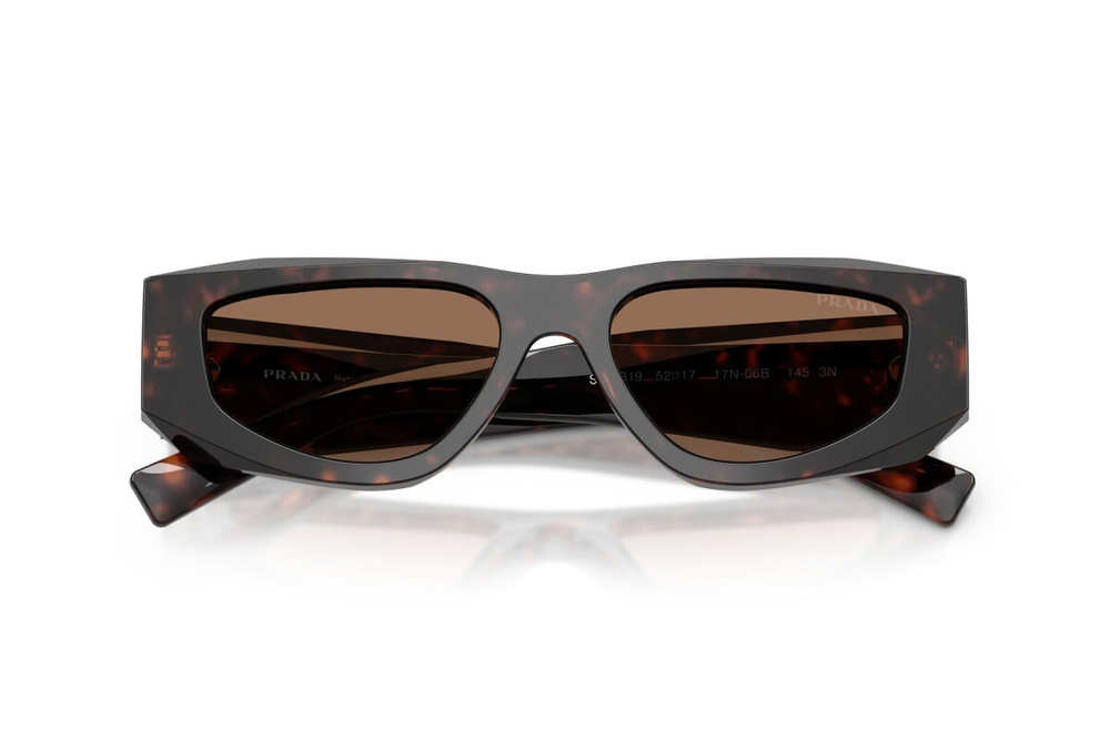 Prada Sunglasses PRB19S-17N06B