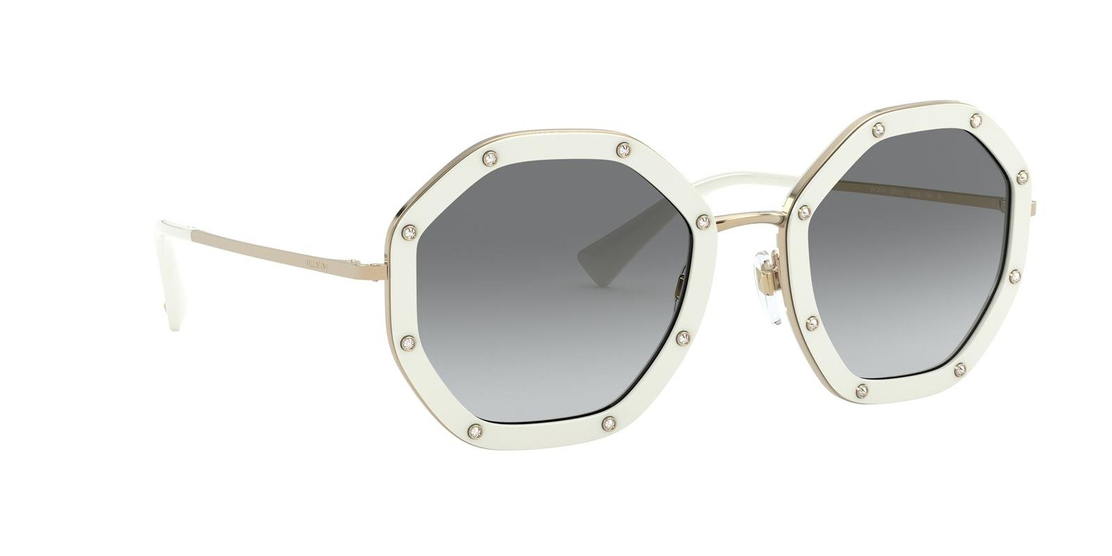Valentino Sunglasses VA2042-300211