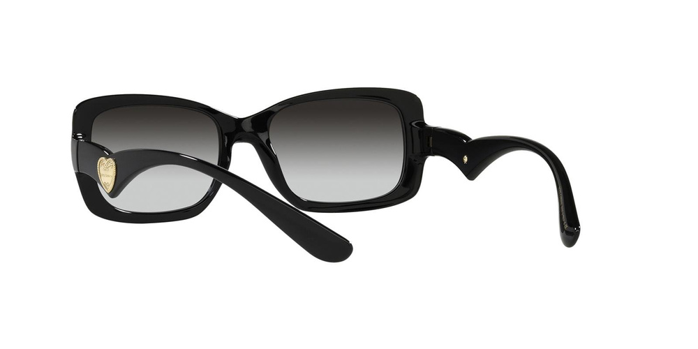 Dolce & Gabbana Sunglasses DG6152-501/8G