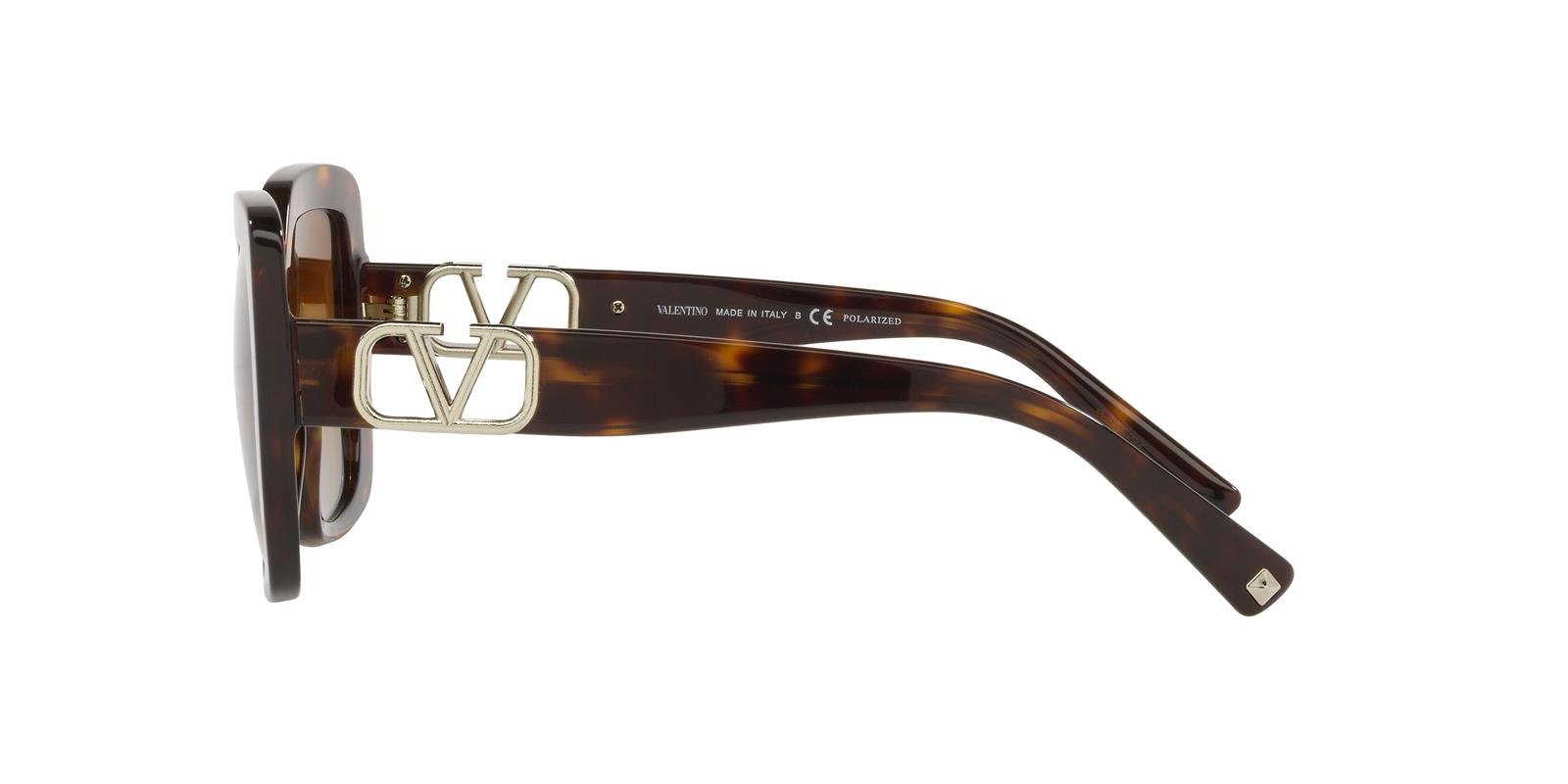 Valentino Sunglasses VA4065-5002T5