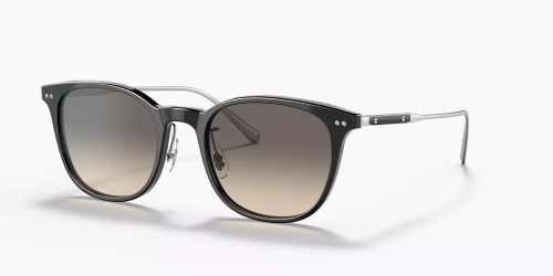 Oliver Peoples Sunglasses DESMON SUN OV5454SU-1724P1