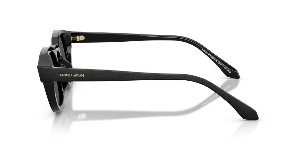 Giorgio Armani Sunglasses AR8254U-500987