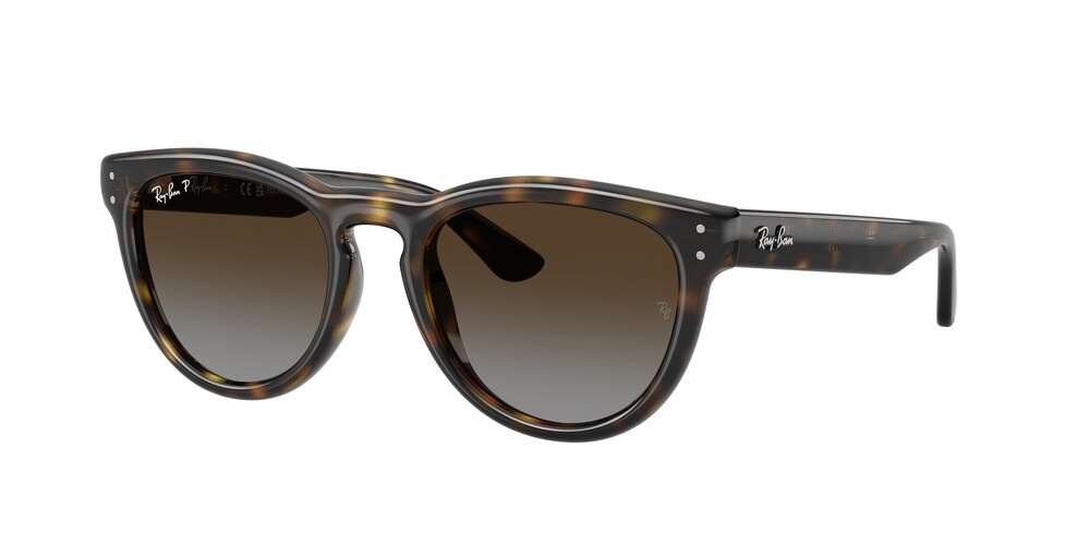 Ray-Ban Sunglasses RB2237-710/T5
