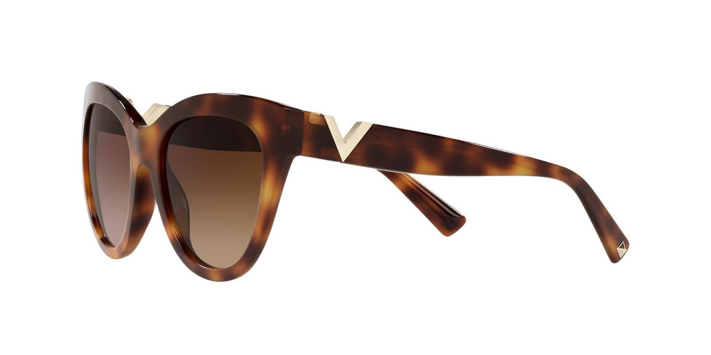 Valentino Sunglasses VA4089-501113