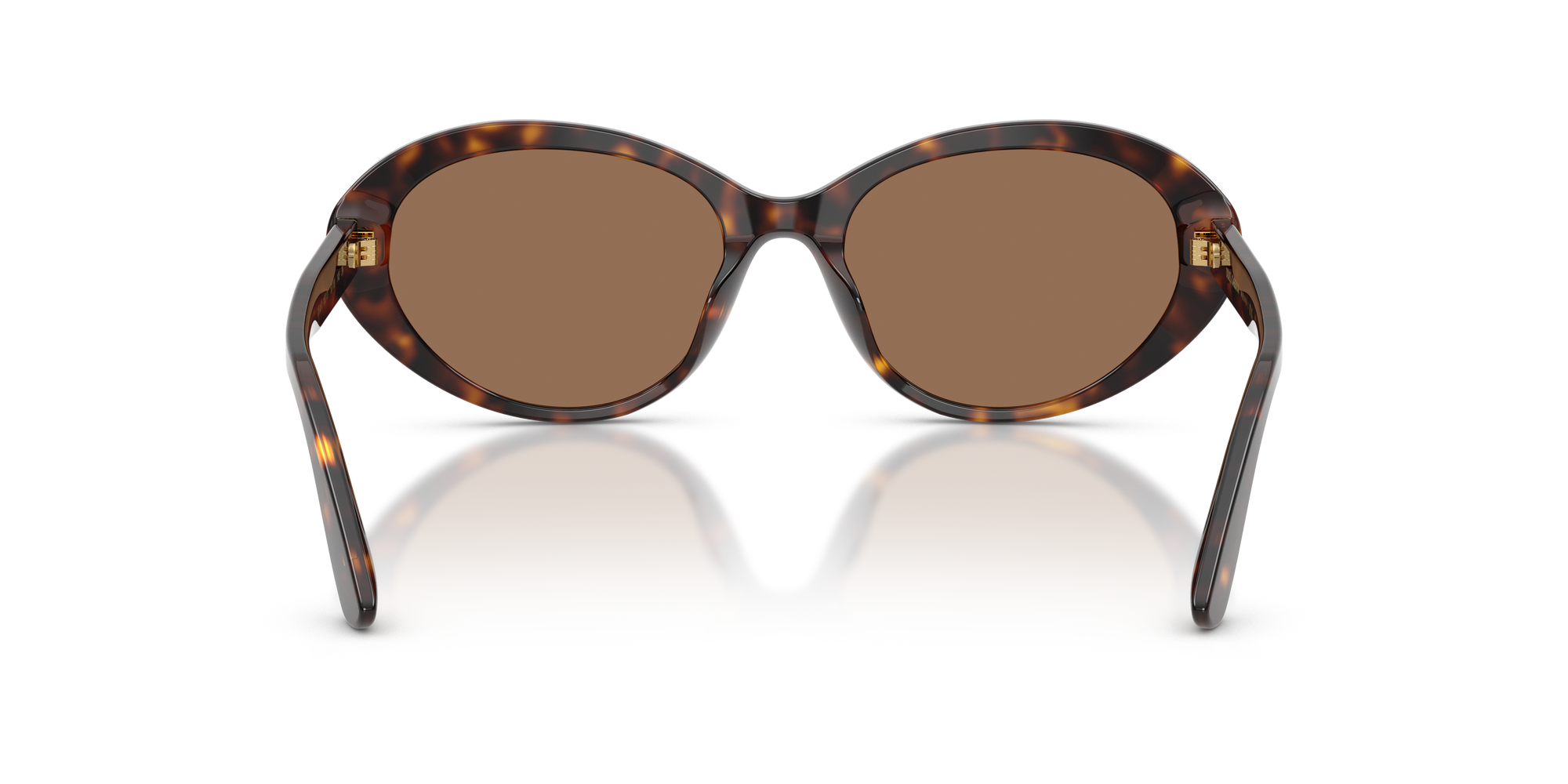 DOLCE & GABBANA Sunglasses DG4570-502/73